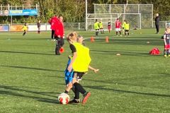 Afbeelding-van-WhatsApp-op-2022-11-02-om-21.40.55