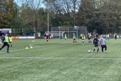 Afbeelding-van-WhatsApp-op-2023-10-22-om-11.20.59_fdd919cd