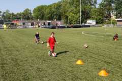 IMG-20230610-WA0017