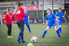 Schoolvoetbal-17-april-2024-groep-5-6-38