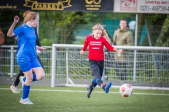 Schoolvoetbal-17-april-2024-groep-5-6-43