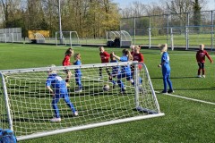 20230411_174656-Gemiddeld