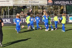 20230411_181710-Gemiddeld