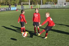 20230411_182859-Gemiddeld