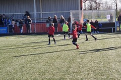 20230411_182935-Gemiddeld