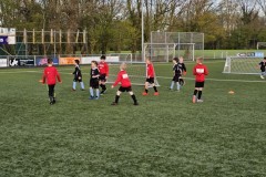 20230411_191144-Gemiddeld