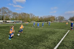 20230418_171926-Gemiddeld