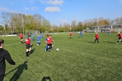 20230418_172059-Gemiddeld