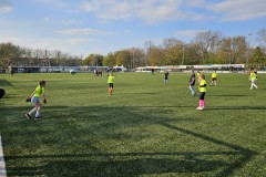 20230418_180838-Gemiddeld