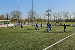 20230419_184030-Gemiddeld